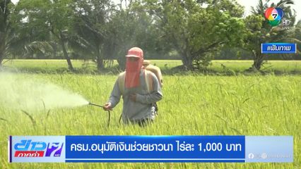 ครม.อนุมัติเงินช่วยชาวนา ไร่ละ 1,000 บาท