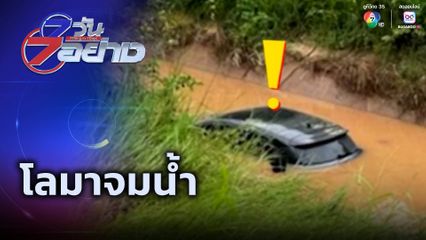 7 วัน 7 อย่าง : โลมาจมน้ำ