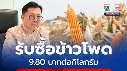 ข้าวโพดราคาตก “พาณิชย์” เจรจาโรงงานอาหารสัตว์ รับซื้อ 9.80 บาทต่อกิโลกรัม เริ่ม 22 ส.ค.นี้