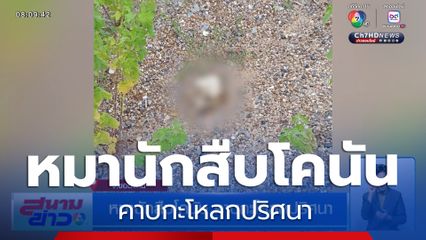 หมานักสืบโคนัน คาบกะโหลกปริศนา