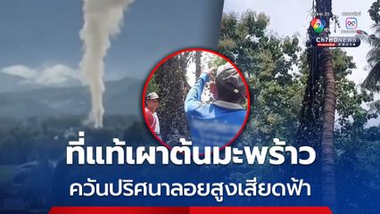 เฉลยแล้ว ควันปริศนาลอยสูงเสียดฟ้า ที่แท้เป็นฝีมือชาวบ้านเผาต้นมะพร้าวยืนต้นตาย