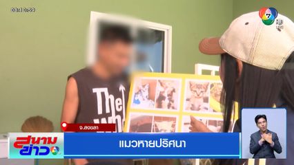 แมวหายปริศนา