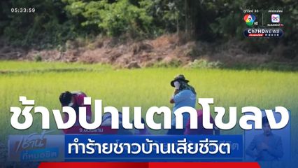 ช้างป่าแตกโขลง ทำร้ายชาวบ้านเสียชีวิต