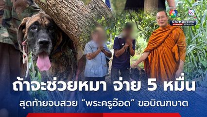 เดือด! วอชด็อกช่วยหมา เจอเจ้าของหมาไล่ ถ้าจะช่วยจ่าย 50,000 บาท สุดท้ายจบสวย พระครูอ๊อด ขอบิณฑบาต