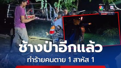 อีกแล้ว ช้างป่าที่ขอนแก่น ทำร้ายคนเสียชีวิต 1 เจ็บสาหัสอีก 1