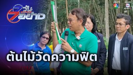 7 วัน 7 อย่าง : ต้นไม้วัดความฟิต