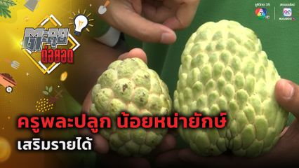 ตะลุยต่อยอด : ครูพละปลูก น้อยหน่ายักษ์ เสริมรายได้