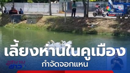 กำจัดจอกแหน ด้วยสิ่งมีชีวิต