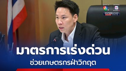 ประกาศมาตรการเร่งด่วน ดึง สหกรณ์ - โรงงานอาหารสัตว์ รับซื้อข้าวโพด 9 บาทต่อกิโล