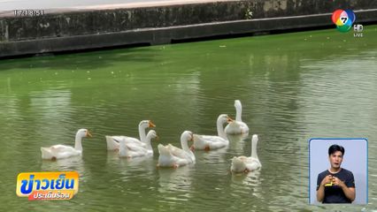 วิธีแก้ปัญหาใหม่ ได้ปัญหาเพิ่ม ห่านคูเมือง