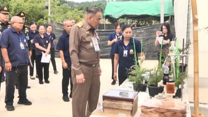 องคมนตรี ติดตามผลการดำเนินงานโครงการหลวง ที่จังหวัดเชียงใหม่