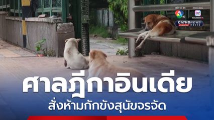 ศาลฎีกาอินเดีย สั่งห้ามกักขังสุนัขจรจัด