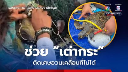 ช่วย “เต่ากระ” ติดเศษอวนเคลื่อนที่ไม่ได้ ที่อุทยานแห่งชาติตะรุเตา