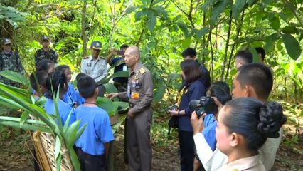 กรมวังผู้ใหญ่ประจำพระองค์ฯ เป็นประธานเปิดค่ายกิจกรรมยุววิจัยป่า 3 อย่าง ประโยชน์ 4 อย่าง ที่จังหวัดกาญจนบุรี