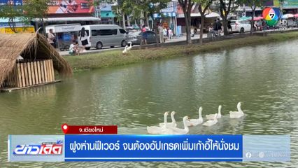 ฝูงห่านฟีเวอร์ จนต้องอัปเกรดเพิ่มเก้าอี้ให้นั่งชม