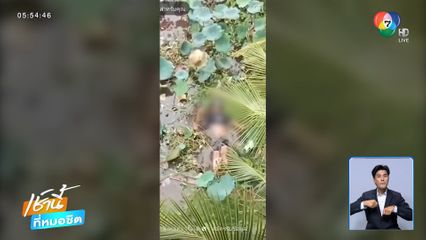 ขี่รถ จยย.ตกสะพานสูง 10 เมตร จ.ประจวบคีรีขันธ์