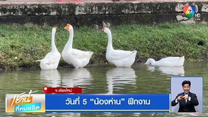 วันที่ 5 “น้องห่าน” ฝึกงาน