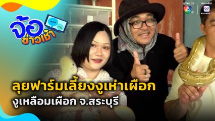 ลุยฟาร์มเลี้ยงงูเห่าเผือก งูเหลือมเผือก จ.สระบุรี