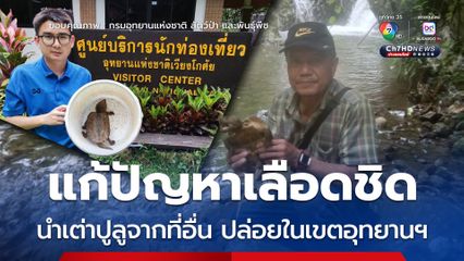 แก้ปัญหาเลือดชิด นำเต่าปูลูจากที่อื่น ปล่อยในเขตอุทยานฯ
