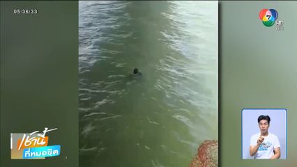 ชาวเกาะยอ ขอชูชีพ ช่วยคนคิดสั้น