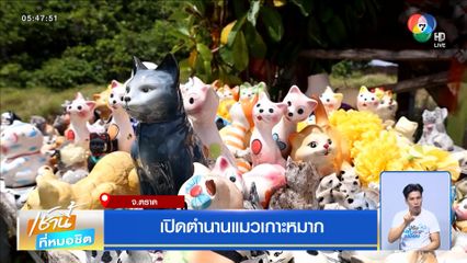 เปิดตำนานแมวเกาะหมาก จ.ตราด