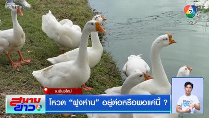 โหวตฝูงห่าน อยู่ต่อหรือพอแค่นี้ ?