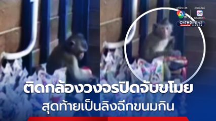 เจ้าของร้านขายขนม ถูกขโมยหลายครั้ง ติดกล้องวงจรปิดหวังจับคนร้ายสุดท้ายเป็นลิง