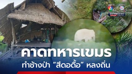 คาดเป็นเพราะทหารกัมพูชา ทำช้างป่าสีดอดื้อหลงถิ่น บุกทำลายกระท่อม พืชไร่แนวชายแดนไทย-กัมพูชา