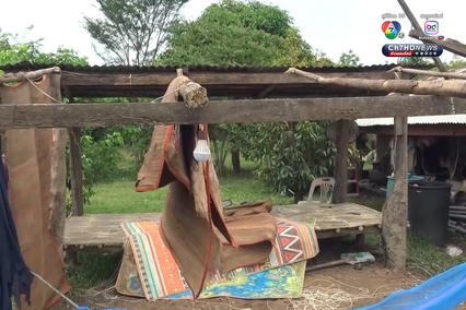 ลมหมุนจากพายุคาจิกิพัดหลังคาวัดสวนยางหักโค่น