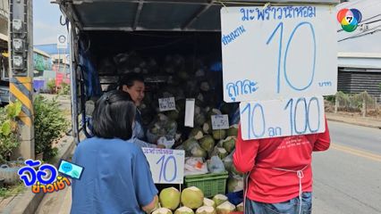มะพร้าวน้ำหอม ลูกละ 10 บาท ไม่ต้องต่อ จ.พิษณุโลก