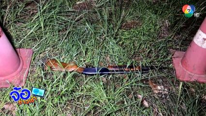 เพราะเปิดเพลงดัง จึงใช้ปืนยิงจนเสียชีวิต