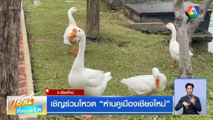 เชิญร่วมโหวต ห่านคูเมืองเชียงใหม่