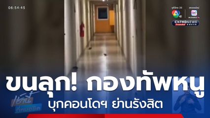 ขนลุก ! กองทัพหนู บุกคอนโดฯ จ.ปทุมธานี