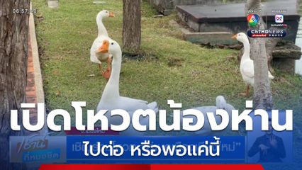 เชิญร่วมโหวต ห่านคูเมืองเชียงใหม่