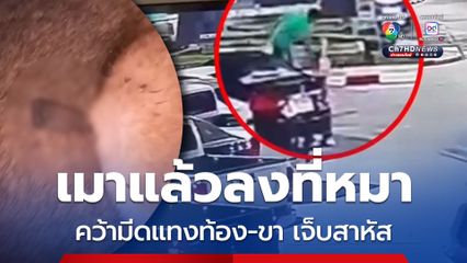 เพื่อนบ้านขี้เมาใช้มีดพับแทงหมาเจ็บสาหัส