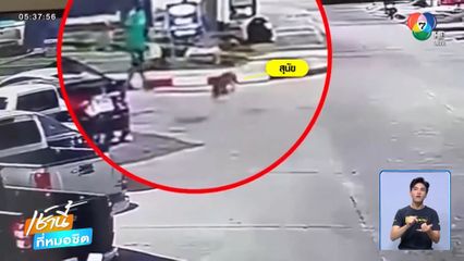 เมาแล้วพาล ไล่แทงหมาบาดเจ็บ