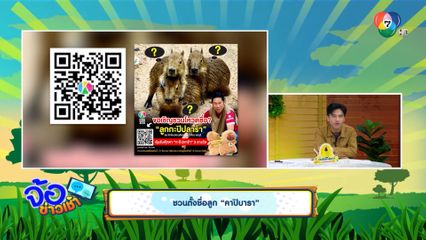 ชวนตั้งชื่อลูก คาปิบารา