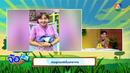 ช่วยลูกแมวติดในเสาอาคาร