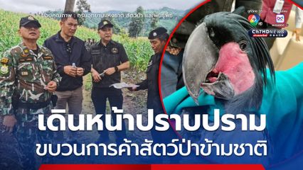 กรมอุทยานฯ ผนึกกำลัง DSI และองค์กรนานาชาติ​ เดินหน้าปราบปรามขบวนการค้าสัตว์ป่าข้ามชาติ