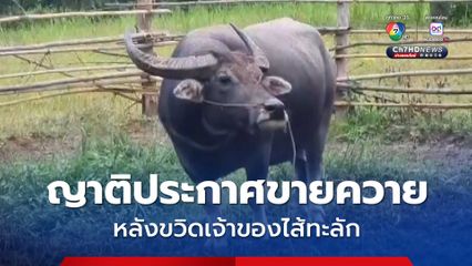 ควายขวิดเจ้าของไส้ทะลักเสียชีวิต ญาติประกาศขายหวั่นเกิดเหตุสลดซ้ำ