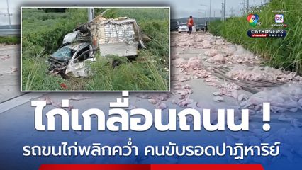 ไก่เกลื่อนถนน ! อุบัติเหตุ กระบะตู้ทึบขนไก่พลิกคว่ำ รถพังยับคนขับรอดปาฏิหาริย์