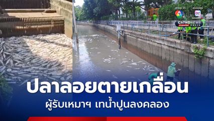 ชุ่ย ! ผู้รับเหมาทน้ำปูลงคลอง ทำปลาลอยตายเกลื่อน