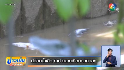 ปล่อยน้ำเสีย ทำปลาตายเกือบยกคลอง