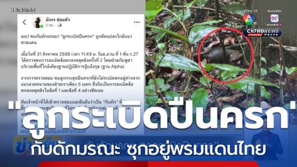 กับดักมรณะ ลูกระเบิดปืนครก