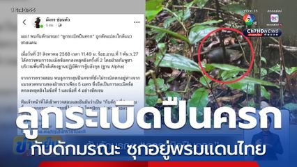 กับดักมรณะ ลูกระเบิดปืนครก