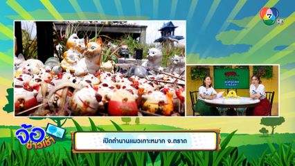 เปิดตำนานแมวเกาะหมาก จ.ตราด