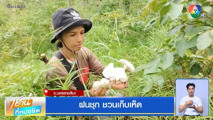 ฝนชุก ชาวบ้านชวนเก็บเห็ด