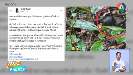 ลอบวางระเบิดแสวงเครื่อง ใกล้ปราสาทตาควาย