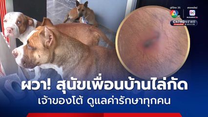 ชาวบ้านผวาสุนัขเพื่อนบ้านวิ่งไล่ กัดเป็นแผลเหวอะหลายคน