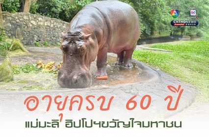 สวนสัตว์เปิดเขาเขียว จัดงานใหญ่ ชวนฉลองวันเกิด แม่มะลิ แซยิด ครบ 60 ปี ฮิปโปโปเตมัสขวัญใจมหาชน
